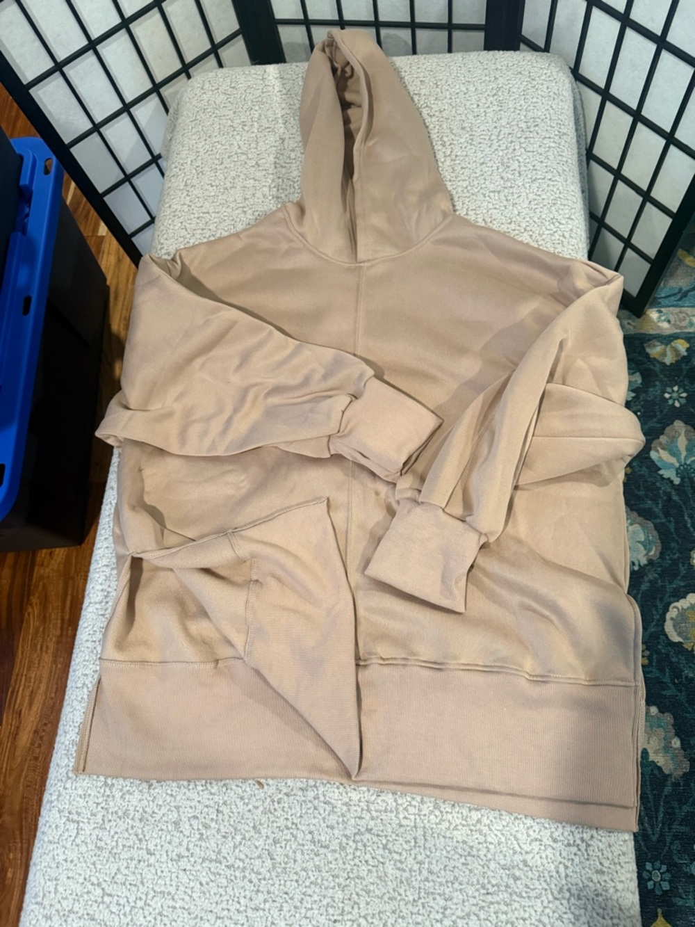 Cozy Neutral Hooded Pullover Sweatshirt - Beige